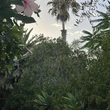 Holiday home Schicciolina Stromboli