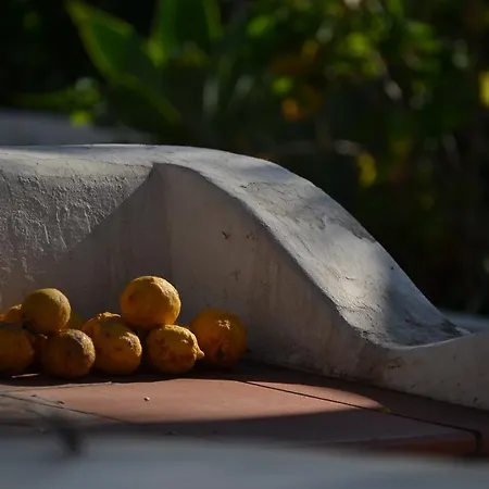 Schicciolina Holiday home Stromboli