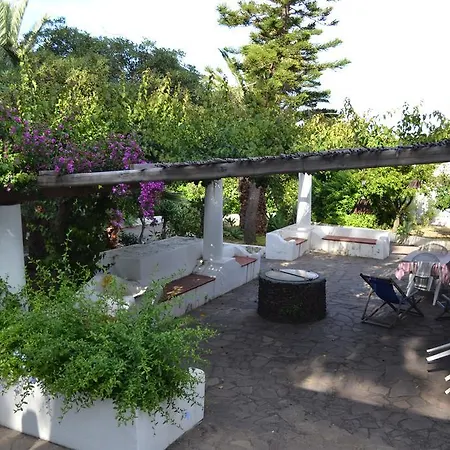 Schicciolina Stromboli